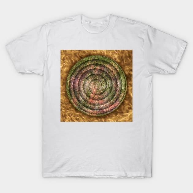 In A Perfect Winding Dream T-Shirt by becky-titus